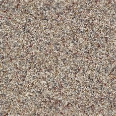 Wild Silk Carpet in Riviera