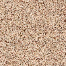 Wild Silk Carpet in Sandstorm