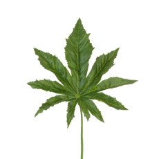 Floralsilk Aralia Leaf
