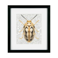 Camelot Beetles & Butterflies III