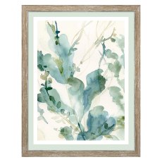 Camelot Underwater Botany II