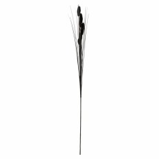 Black Foxtail 73cm Black Foxtail 73cm