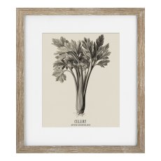 Camelot Vintage Veg Illustration VI Camelot Vintage Veg Illustration VI