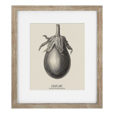 Camelot Vintage Veg Illustration VII Camelot Vintage Veg Illustration VII