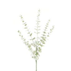 Floralsilk Snowstorm Eucalyptus