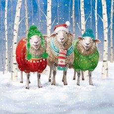 The Dark Room Christmas Jumper Sheeps Pack of 16 Cards The Dark Room Christmas Jumper Sheeps Pack of 16 Cards