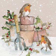 Medici Robins on Plant Pots Pack of 10 Cards Medici Robins on Plant Pots Pack of 10 Cards