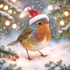 Paper House Robin Pack of 6 Cards Paper House Robin Pack of 6 Cards