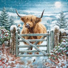 Paper House Highland Cow Over the Gate Pack of 6 Cards Paper House Highland Cow Over the Gate Pack of 6 Cards