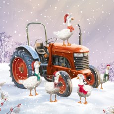 Paper House Red Tractor Pack of 6 Cards