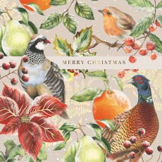 Paper House Birds Wreath Pack of 5 Cards Paper House Birds Wreath Pack of 5 Cards