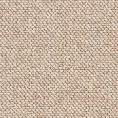Natural Flair Carpet in Barnacle Natural Flair Carpet in Barnacle