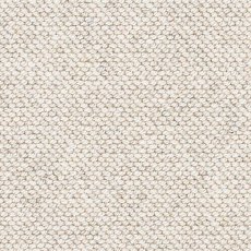 Natural Flair Carpet in Driftwood Natural Flair Carpet in Driftwood