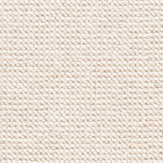 Natural Flair Carpet in Dune Pebble Natural Flair Carpet in Dune Pebble