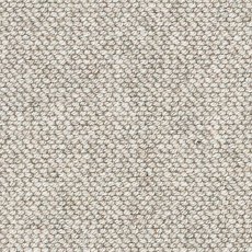 Natural Flair Carpet in Shingle