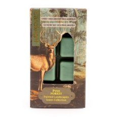 Candlelight Pine Forest Wax Melts Candlelight Pine Forest Wax Melts