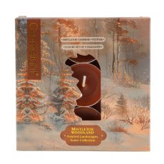 Candlelight Mistletoe Woodland Tealights Set Of 9