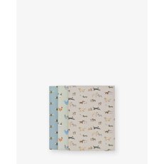 Sophie Allport Set of 3 A6 Notebook Set Sophie Allport Set of 3 A6 Notebook Set