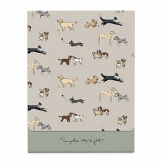 Sophie Allport Pocket Assorted Notebook Sophie Allport Pocket Assorted Notebook