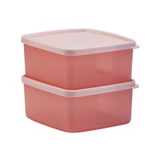 Tupperware Small Freezable Stacking Square Set of 2 Tupperware Small Freezable Stacking Square Set of 2