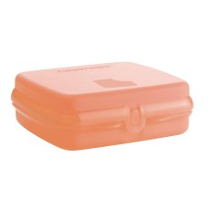 Tupperware Sandwich Keeper Orange
