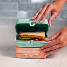 Tupperware Sandwich Keeper Orange