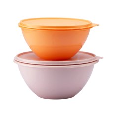 Tupperware Wonder Bowl Set of 2 Tupperware Wonder Bowl Set of 2
