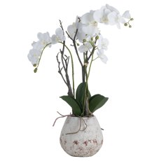 Hill Interiors White Orchid In Stone Pot Hill Interiors White Orchid In Stone Pot