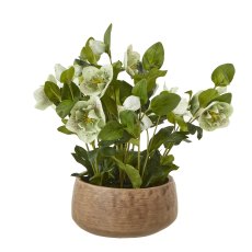 Hill Interiors Green Hellebore Plant In Taupe Pot