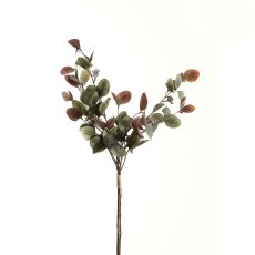 Hill Interiors Variegated Eucalyptus Bouquet Hill Interiors Variegated Eucalyptus Bouquet