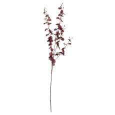Hill Interiors Deep Burgundy Orchid Spray Hill Interiors Deep Burgundy Orchid Spray