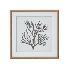 Hill Interiors Reef Coral Art Mounted In Beaded Frame Hill Interiors Reef Coral Art Mounted In Beaded Frame