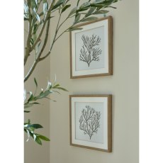Hill Interiors Reef Coral Art Mounted In Beaded Frame Hill Interiors Reef Coral Art Mounted In Beaded Frame