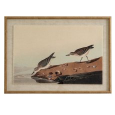 Hill Interiors Flora & Fauna Stints In Beaded Frame Hill Interiors Flora & Fauna Stints In Beaded Frame