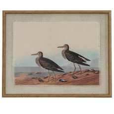 Hill Interiors Flora & Fauna Sandpiper In Beaded Frame Hill Interiors Flora & Fauna Sandpiper In Beaded Frame