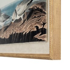 Hill Interiors Flora & Fauna Plovers In Beaded Frame Hill Interiors Flora & Fauna Plovers In Beaded Frame
