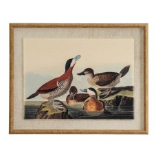 Hill Interiors Flora & Fauna Ducks On Linen In Beaded Frame Hill Interiors Flora & Fauna Ducks On Linen In Beaded Frame