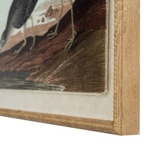 Hill Interiors Flora & Fauna Snipes In Beaded Frame Hill Interiors Flora & Fauna Snipes In Beaded Frame