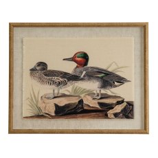 Hill Interiors Flora & Fauna Teals On Linen In Beaded Frame Hill Interiors Flora & Fauna Teals On Linen In Beaded Frame