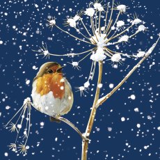 Otter House Winter Robins Xmas Cards Bumper Box