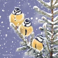 Otter House RSPB Trio of Blue Tits Small Xmas Cards Otter House RSPB Trio of Blue Tits Small Xmas Cards