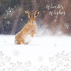Otter House RSPB Snowy Spray Hare Small Xmas Cards Otter House RSPB Snowy Spray Hare Small Xmas Cards