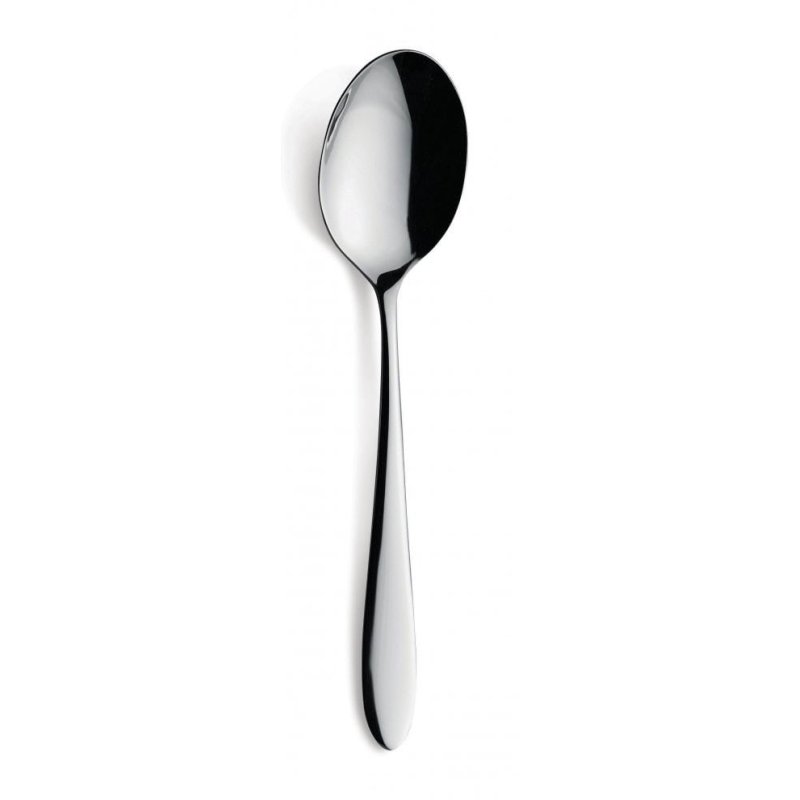 Amefa Sure Serving Spoon