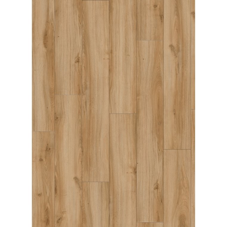 Moduleo Roots in Classic Oak 24837