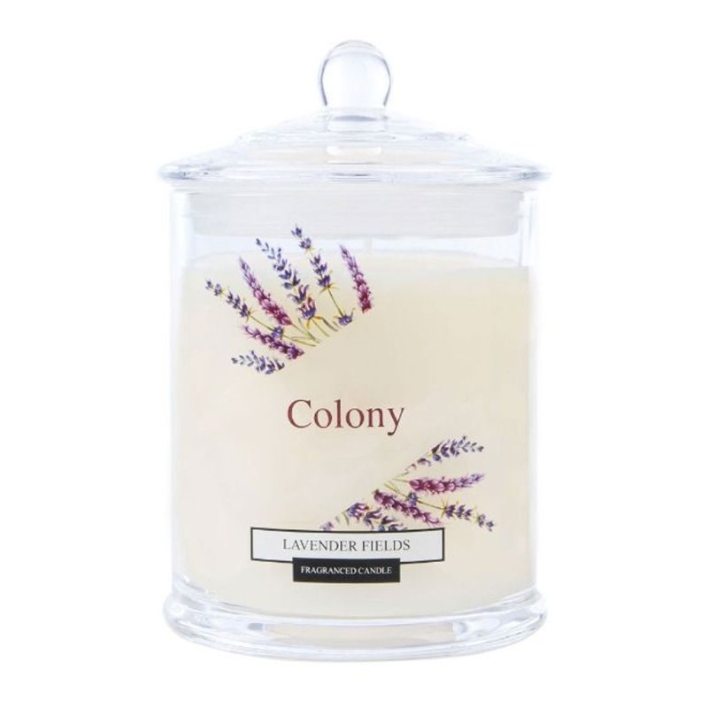 Colony Lavender Fields Small Jar Candle