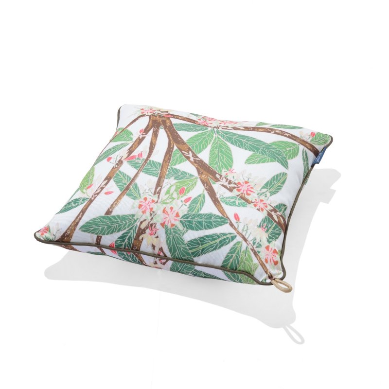 Cacoa Outdoor Cushion