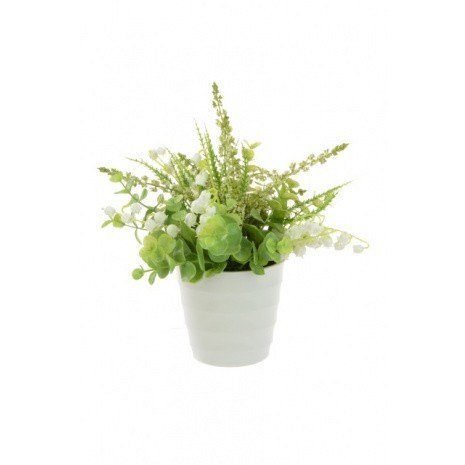 Erica/lily Of Valley Pot