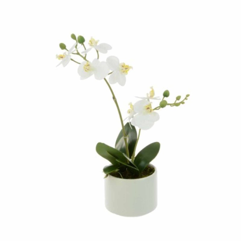 Floralsilk Phalaenopsis in white pot