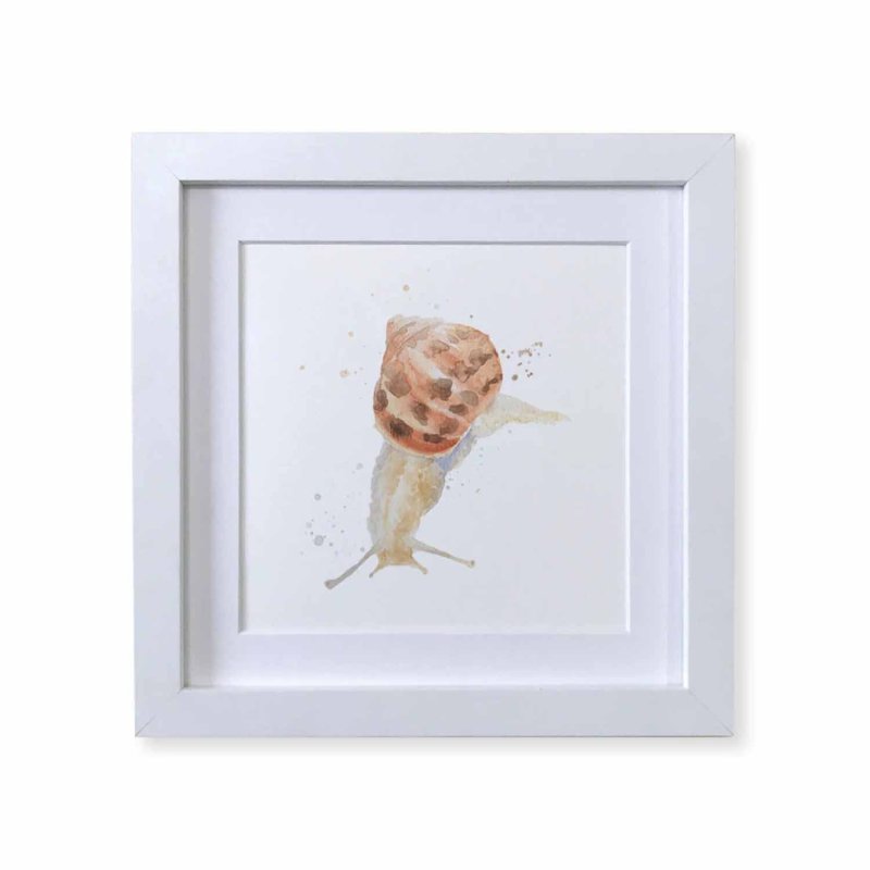 Kate Of Kensington Garden Snail Framed 8' Print