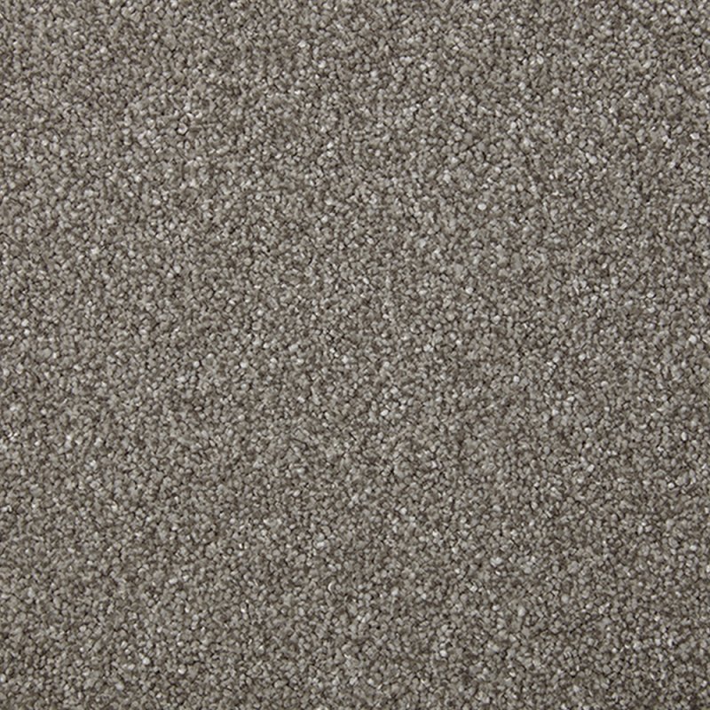 Norfolk & Co. Carpets Adorable In Alpine Stone Carpet